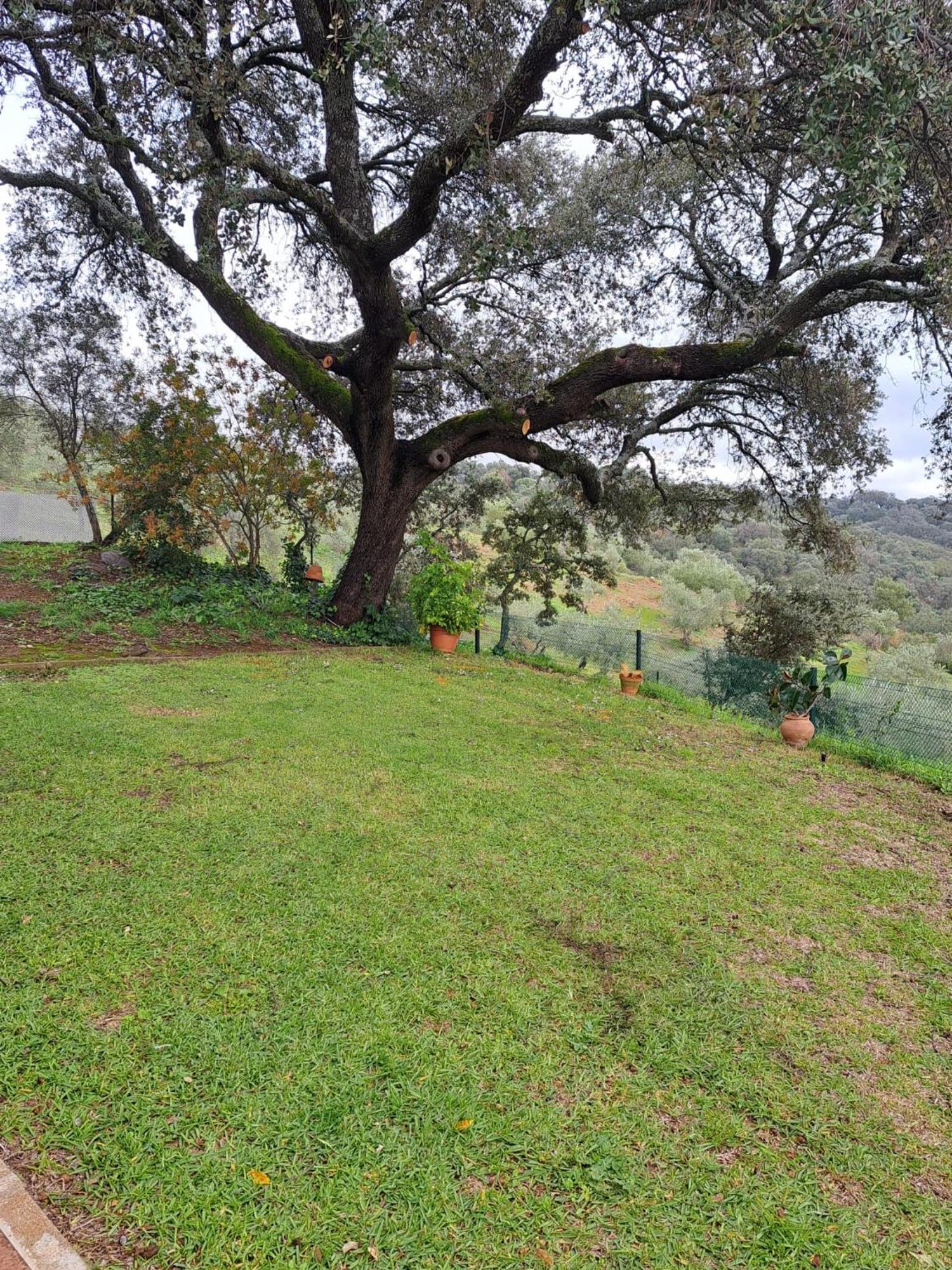קזאיה דה לה סיירה Casa Rural Villa Manuela מראה חיצוני תמונה